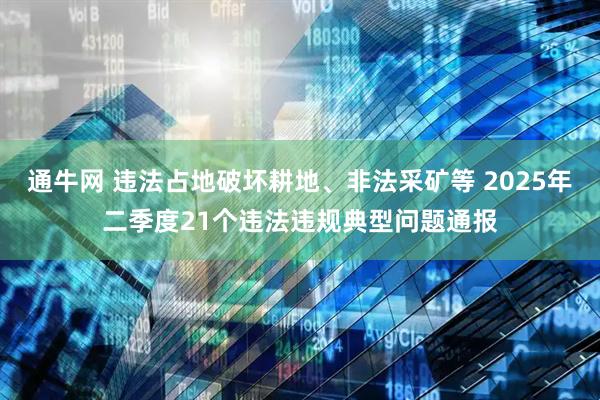 通牛网 违法占地破坏耕地、非法采矿等 2025年二季度21个违法违规典型问题通报
