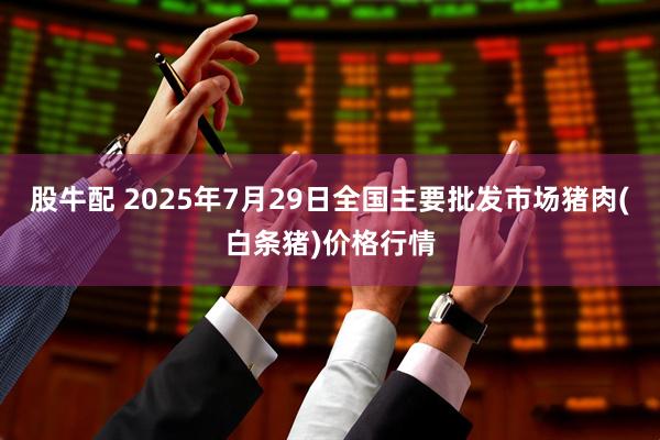 股牛配 2025年7月29日全国主要批发市场猪肉(白条猪)价格行情