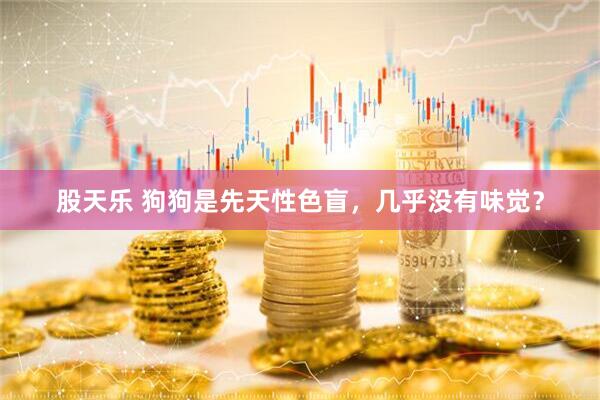 股天乐 狗狗是先天性色盲，几乎没有味觉？