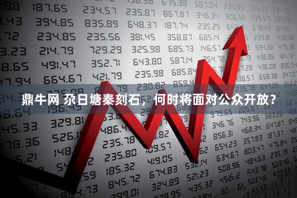鼎牛网 尕日塘秦刻石,何时将面对公众开放?