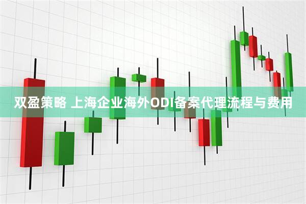 双盈策略 上海企业海外ODI备案代理流程与费用