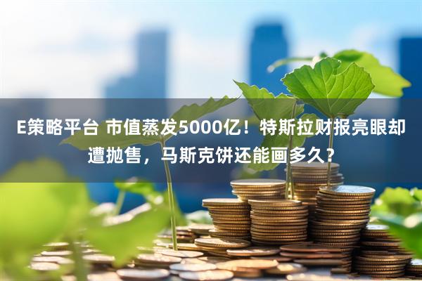 E策略平台 市值蒸发5000亿！特斯拉财报亮眼却遭抛售，马斯克饼还能画多久？