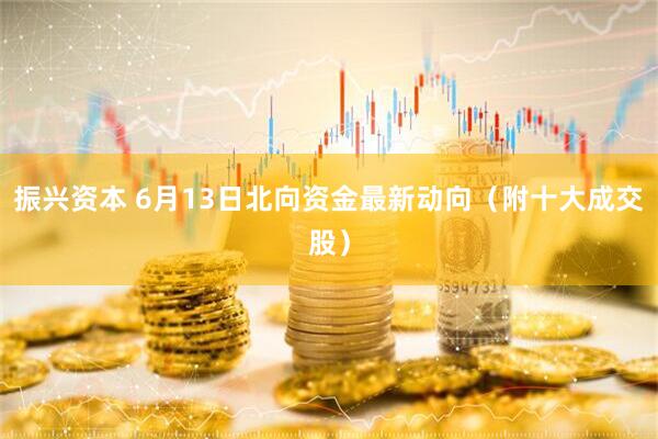振兴资本 6月13日北向资金最新动向（附十大成交股）
